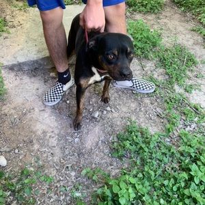 Meet your Posher, Trini